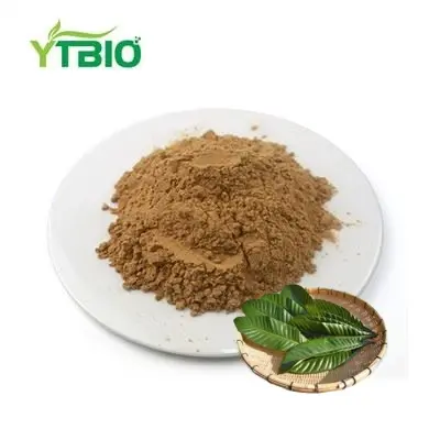  Loquat Leaf Extract